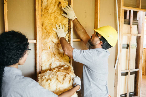 Insulation Repair Services in Talty, TX